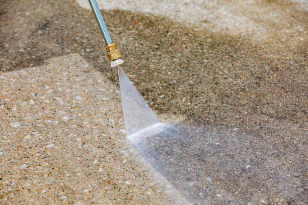 Best Gutter Cleaning  in Palmer Ranch, FL
